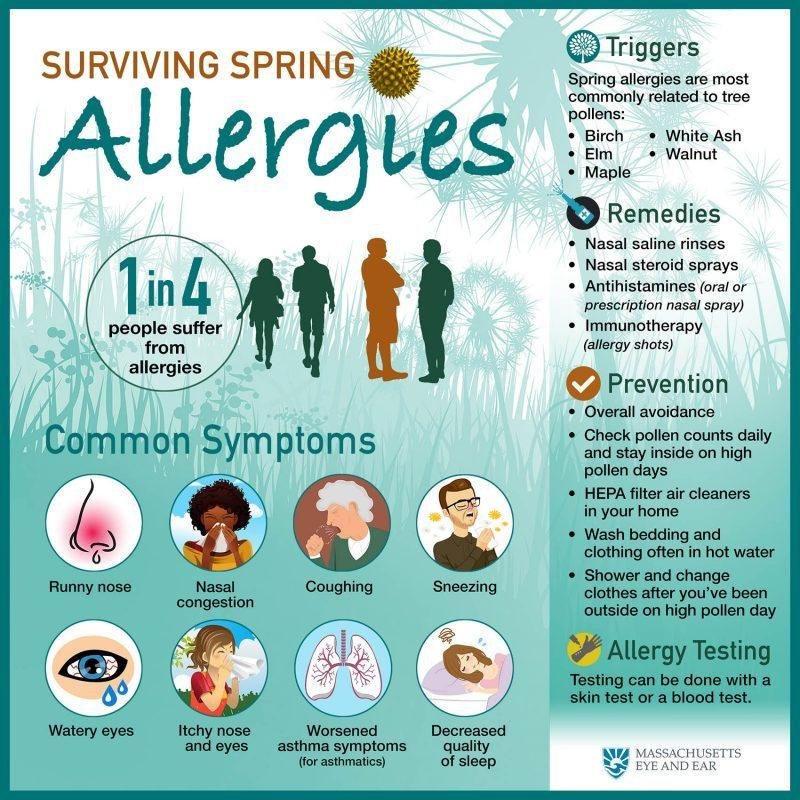 – “Spring Allergies Unmasked: Understanding Causes and Solutions”