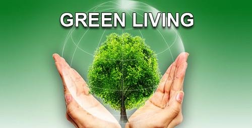 Healthy ​Eating Habits for a Sustainable Lifestyle