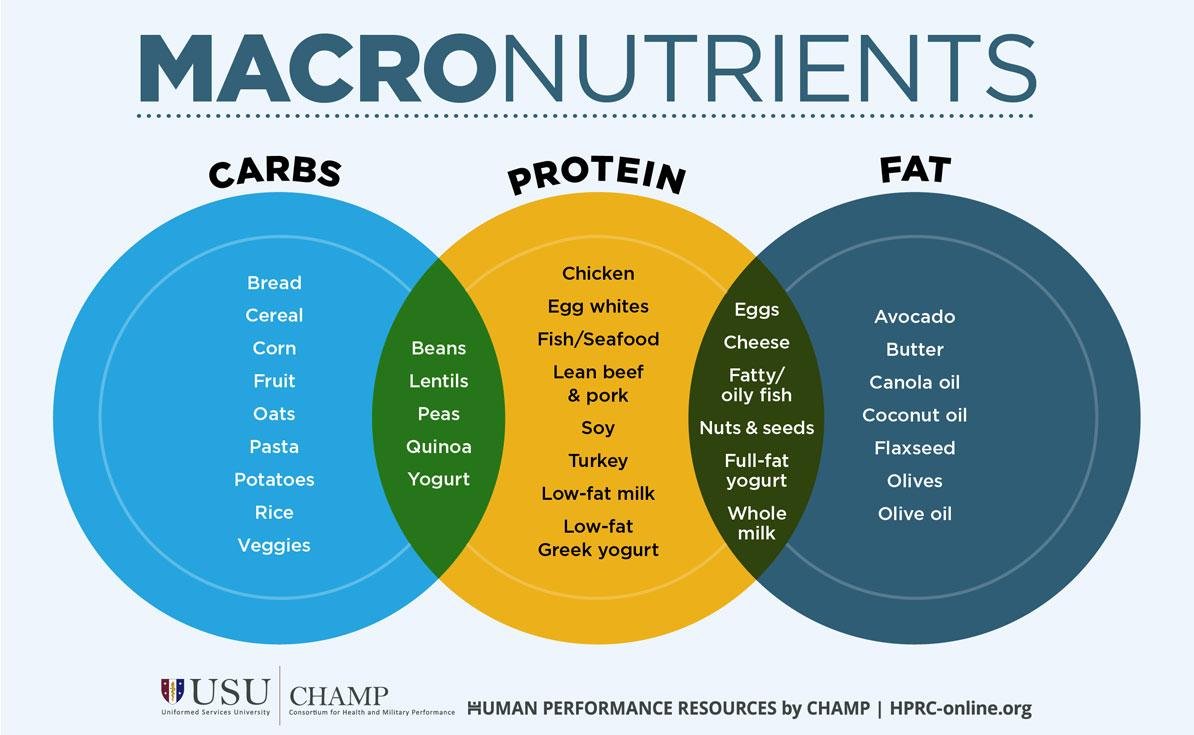 Importance of Macronutrients in Maintaining Health