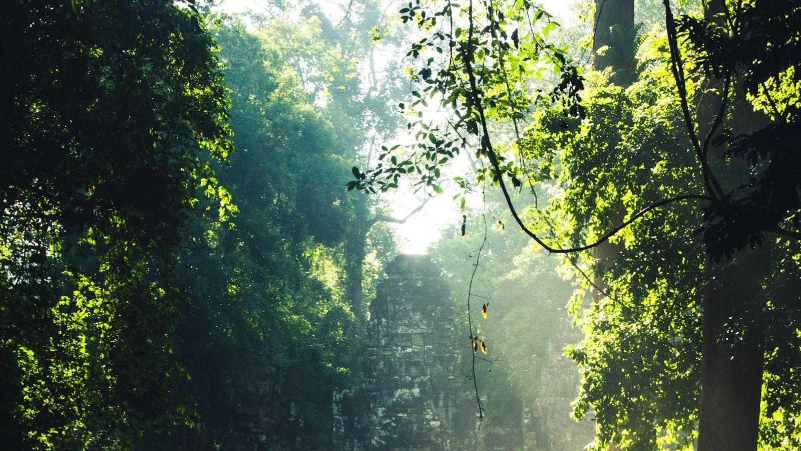 Cultural Riches of Cambodia: Exploring Angkor Wat and Khmer Legacy