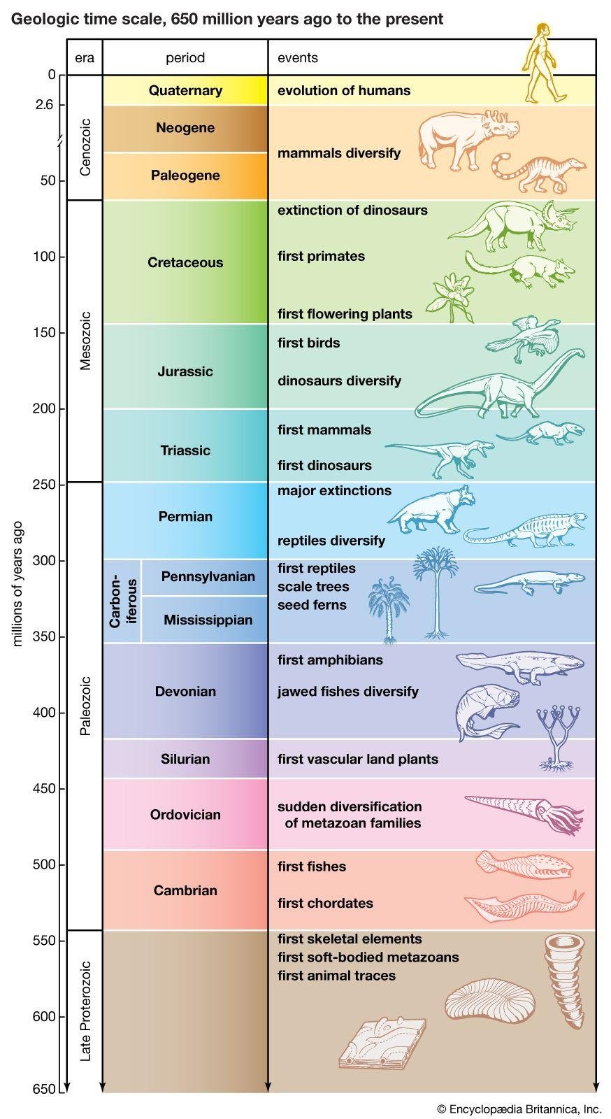 "The Evolution of Smart Homes: Latest Gadgets for 2024"